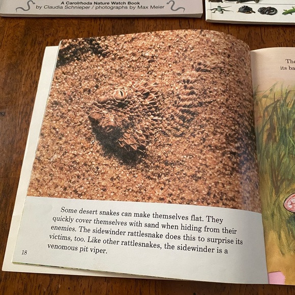 Snakes. Four paperback books about snakes and reptiles. - Picture 4 of 14